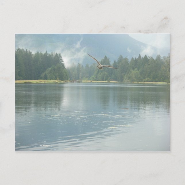 frei postkarte (Vorderseite)