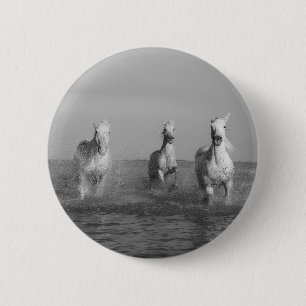 Frei, weiß, schwarz und weiß, Meer, Button