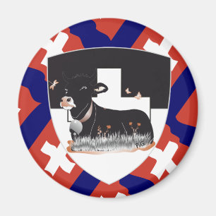 Freiburg Fribourg Schweiz Suisse Magnete Magnet