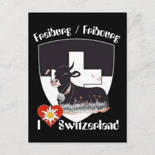 Freiburg / Fribourg Schweiz Suisse Postkarte