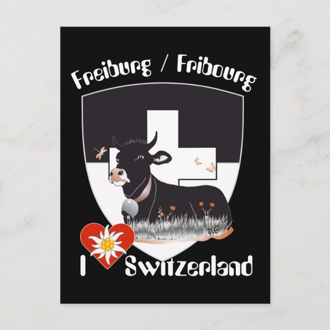 Freiburg / Fribourg Schweiz Suisse Postkarte (Vorderseite)