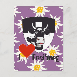 Freiburg / Fribourg Schweiz Suisse Postkarte