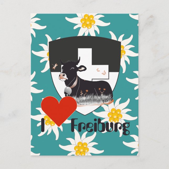 Freiburg / Fribourg Schweiz Suisse Postkarte (Vorderseite)