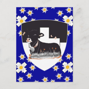 Freiburg / Fribourg Schweiz Suisse Postkarte