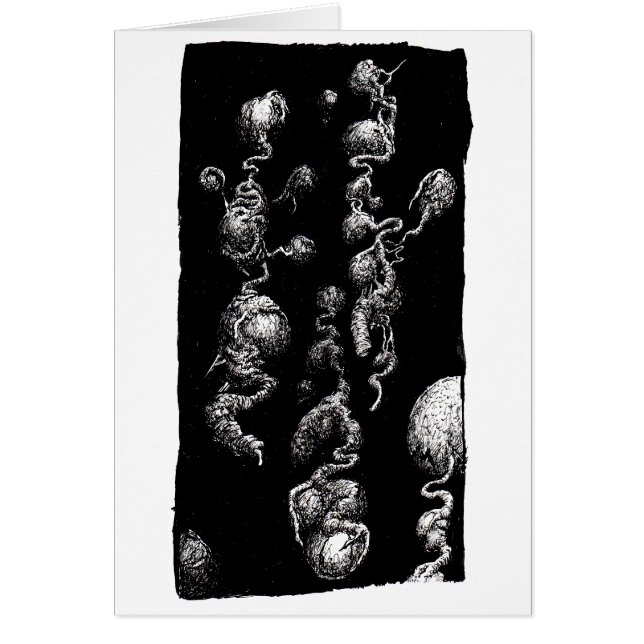 Freie Schwimmer, (Vorne)