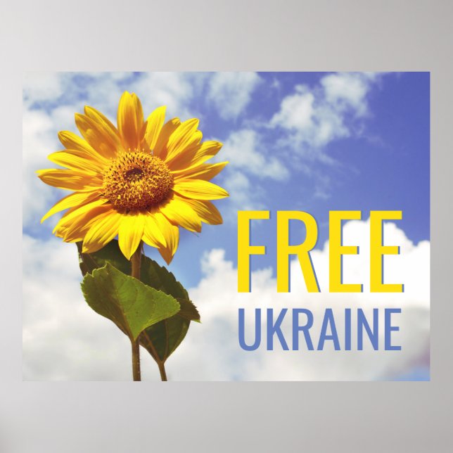 Freie Ukraine Blauer Gelbblütenfrieden Poster (Vorne)