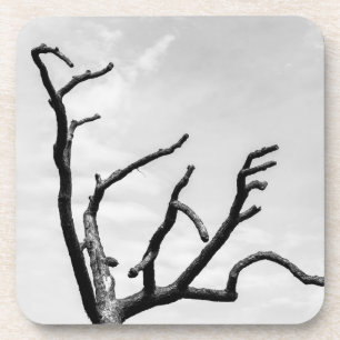 freier Baum Getränkeuntersetzer