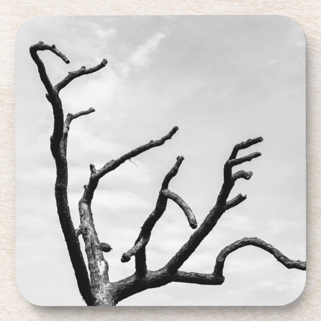 freier Baum Getränkeuntersetzer (Vorderseite)