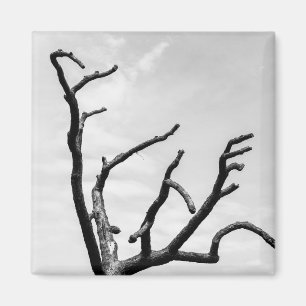 freier Baum Magnet