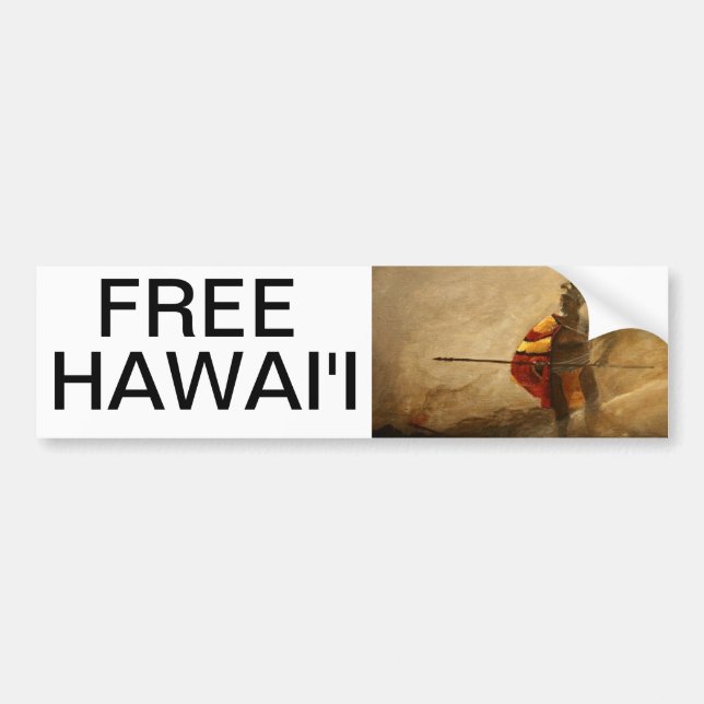 FREIES HAWAII AUTOAUFKLEBER (Vorne)