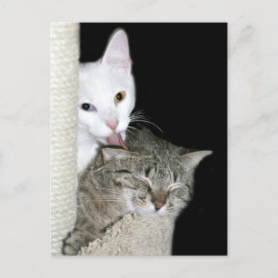 Freigabe von Qualitätszeiten Postkarte