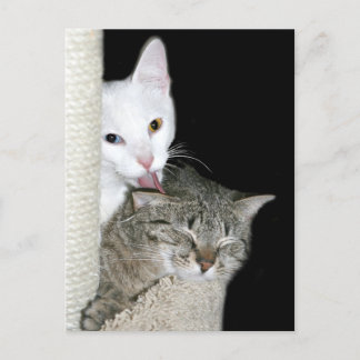 Freigabe von Qualitätszeiten Postkarte