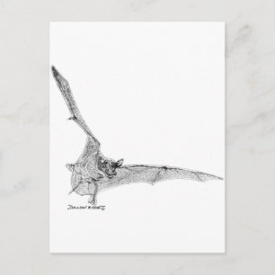 Freigezogenes Becken Postkarte