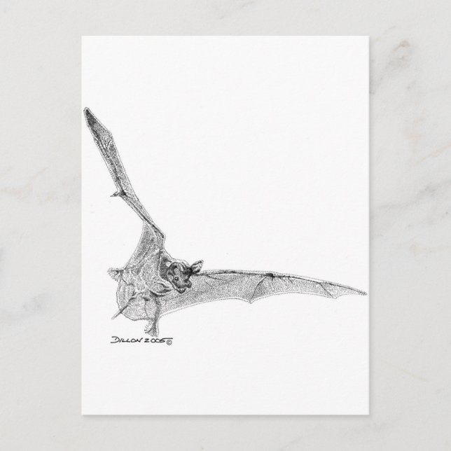 Freigezogenes Becken Postkarte (Vorderseite)