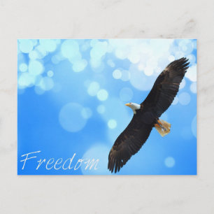 Freiheit Adler fliegt am Himmel Postkarte