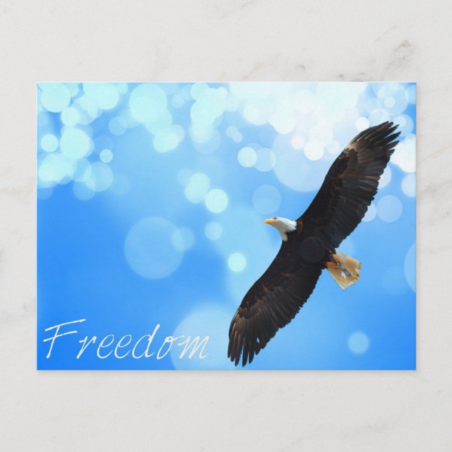 Freiheit Adler fliegt am Himmel Postkarte (Vorderseite)