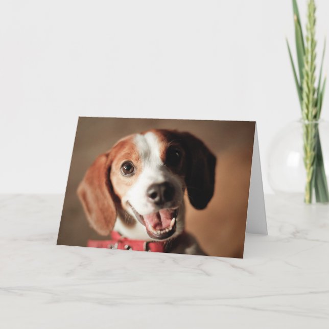 Freiheit des Beagle Karte (Vorderseite)
