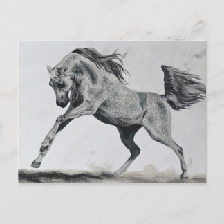 Freiheit des Geistes Postkarte