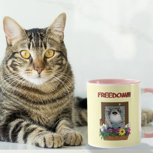 Freiheit Flucht Lustige Katze Gelbe Blumen Fenster Tasse