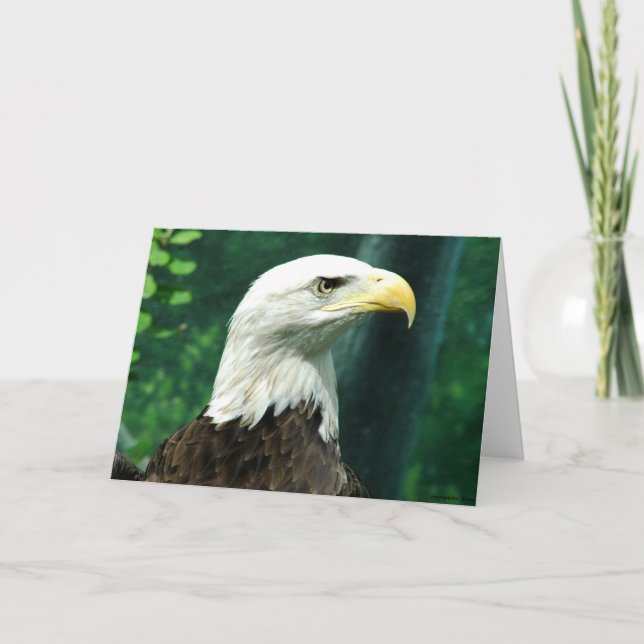 Freiheit Karte (Vorderseite)