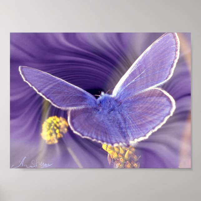 Freiheit Poster (Vorne)