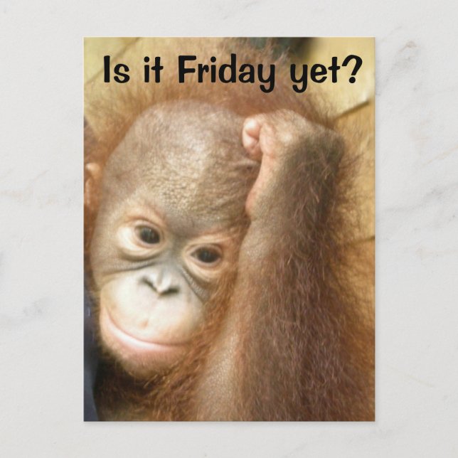 Freitag Postkarte (Vorderseite)