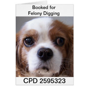 Freitag-Tassen-Schuss