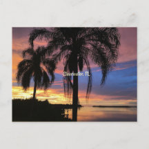 Freiwasser, Foto Florida