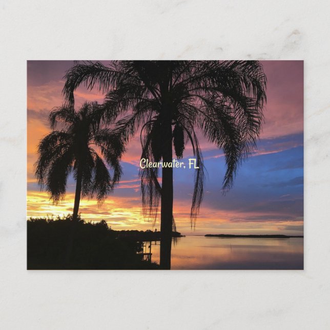 Freiwasser, Foto Florida Postkarte (Vorderseite)