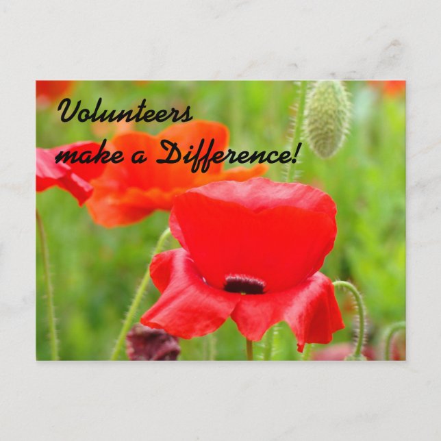 Freiwilliger Dank Event Post Card Einladungen (Vorderseite)
