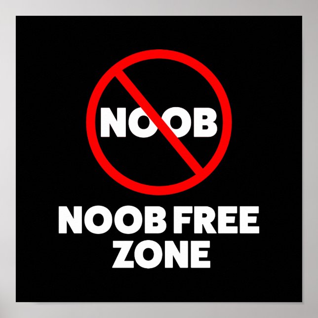 Freizone Noob Poster (Vorne)
