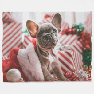 FRENCH BULL DOG FLEECEDECKE