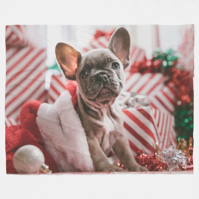 FRENCH BULL DOG FLEECEDECKE (Vorderseite (Horizontal))