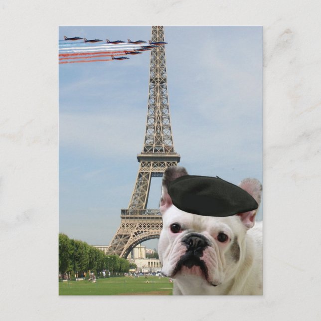 French Bulldog à Paris carte postale (Devant)