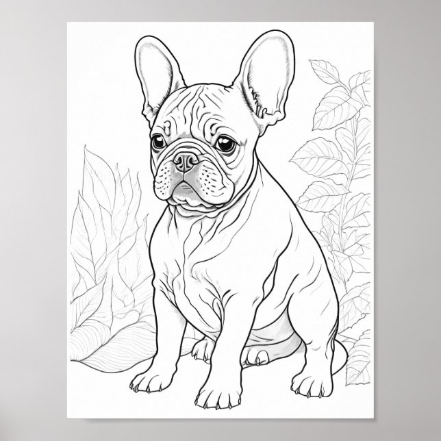 French Bulldog Adult Coloring Poster (Vorne)