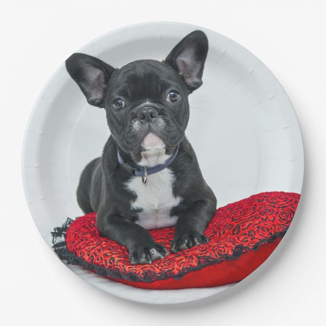 French Bulldog Black Pillow Foto Pappteller (Vorderseite)