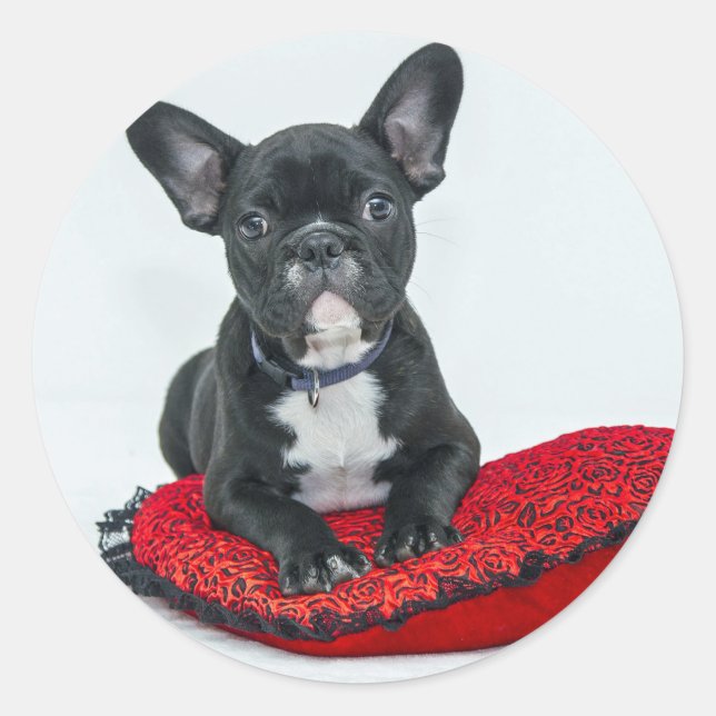 French Bulldog Black Pillow Foto Runder Aufkleber (Vorderseite)