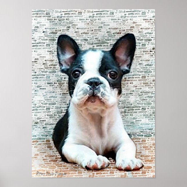French Bulldog Canvas Print Poster (Vorne)