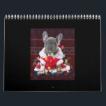 French Bulldog Christmas Lights Ugly Sweater Dog Kalender<br><div class="desc">Französischer Bulldog Weihnachtslicht Ugly Sweater Hund Ein Bulldog macht es besser. Niedliche Bulldog-Geschenke für Bulldog-Liebhaber und Bulldog-Hundebesitzer, die einen neuen Bulldog Welpenhund got haben. Bulldogmama, Bulldogge. Bulldogge Geschenke für Männer, Jungen und Mädchen. Bulldoggen für Kinder, Jugendliche, Mädchen und Jungen. Ein ideales Bulldoggen Geschenk für Bulldoggen-Liebhaber in Ihrem Leben. Sind Sie...</div>