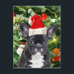 French Bulldog Christmas Tree Ornaments Snowman Feiertagspostkarte<br><div class="desc">Niedlicher französischer Bulldogge mit Weihnachtsbaumschmuck Snow Man im Hintergrund.</div>