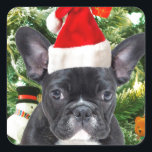 French Bulldog Christmas Tree Ornaments Snowman Quadratischer Aufkleber<br><div class="desc">Niedlicher französischer Bulldogge mit Weihnachtsbaumschmuck Snow Man im Hintergrund.</div>
