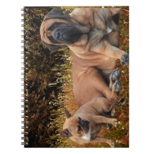 French Bulldog English Mastiff die Schönen Notizblock