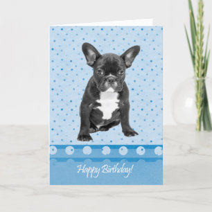 French Bulldog Happy Birthday Card Blue Punkte Karte