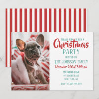 French Bulldog in Christmas Hat