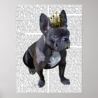 French Bulldog King