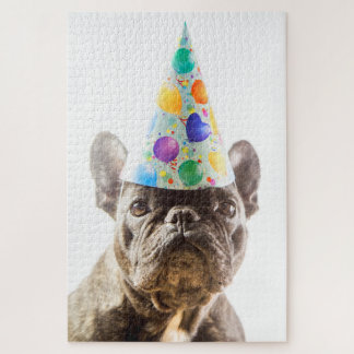 French Bulldog mit Party Hat