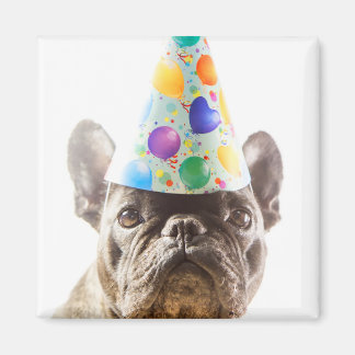 French Bulldog mit Party Hat Magnet