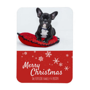 French Bulldog Puppy Red Foto Christmas Custom Magnet
