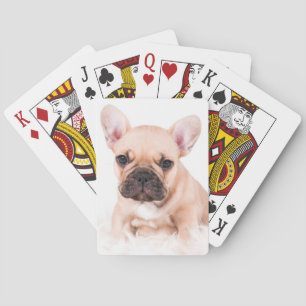 French Bulldog Spielkarten