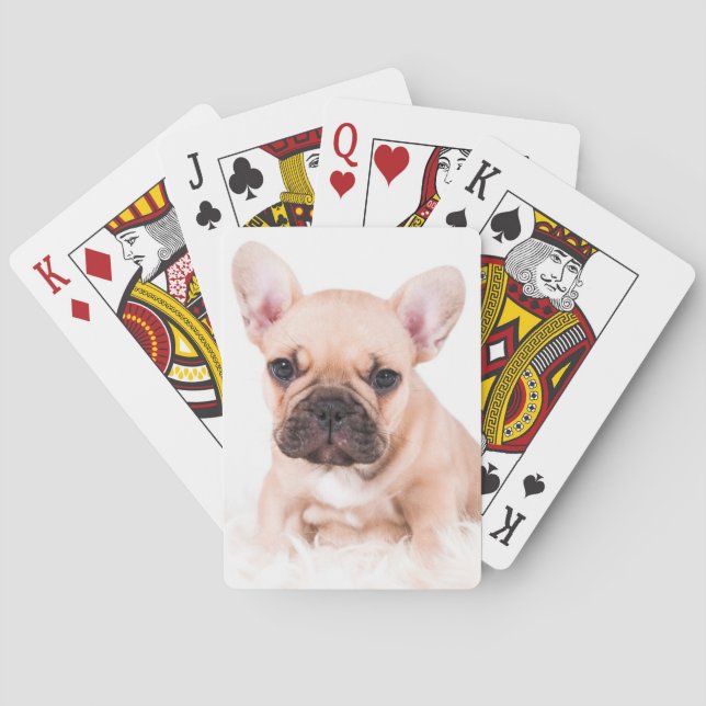 French Bulldog Spielkarten (Rückseite)